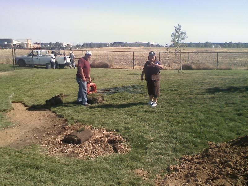 Fixes Being Made (Finally) To Natomas Pooch Park The Natomas Buzz